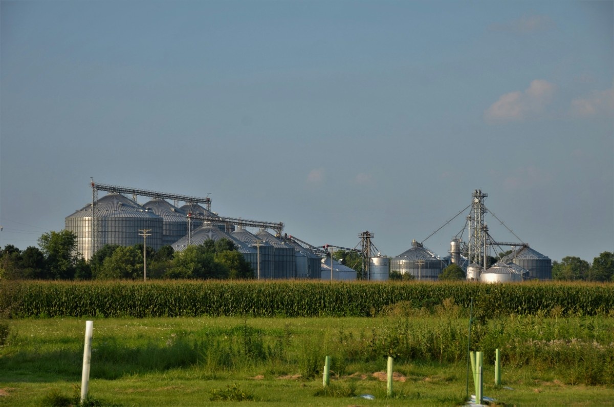 Innovation and Ethanol Plant